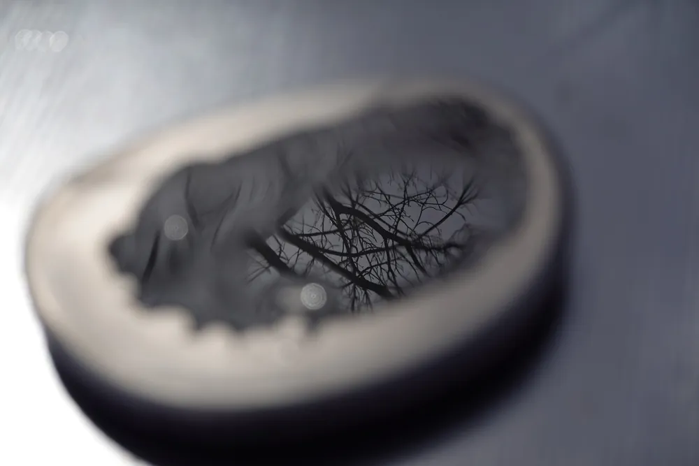 Reflection, softer