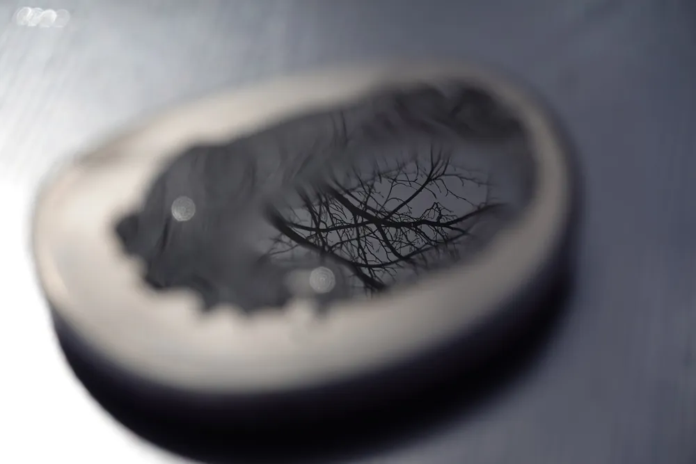 Reflection, softer still