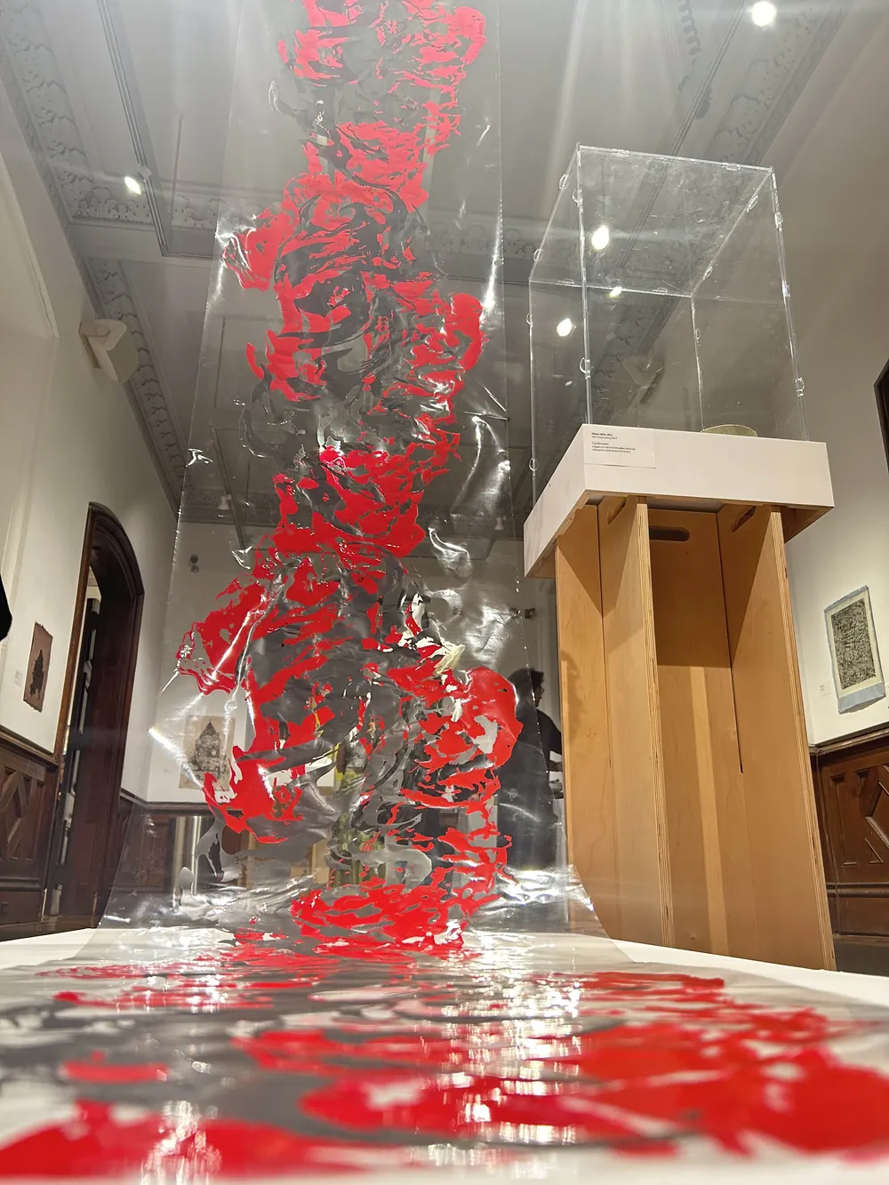 Close view of the printed acetate and its reflection