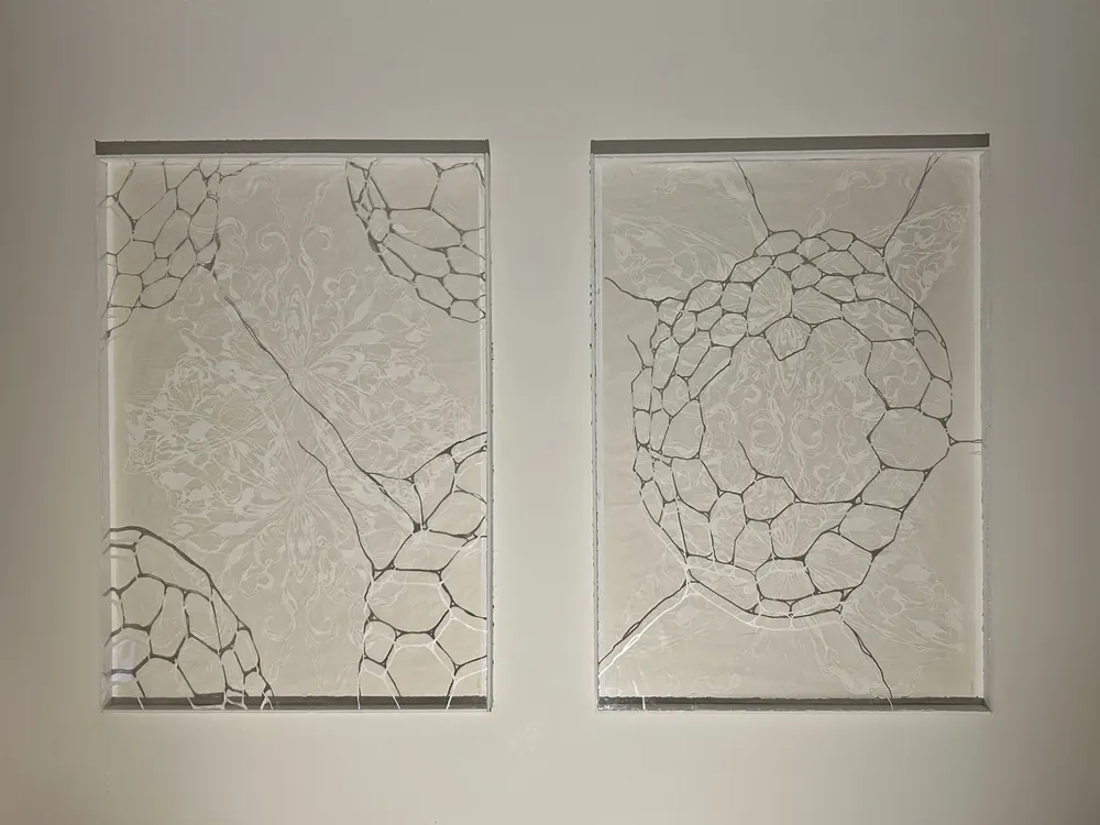 Trap: two framed panels, woodcut and silkscreened plexiglass showing a butterfly caught in a web