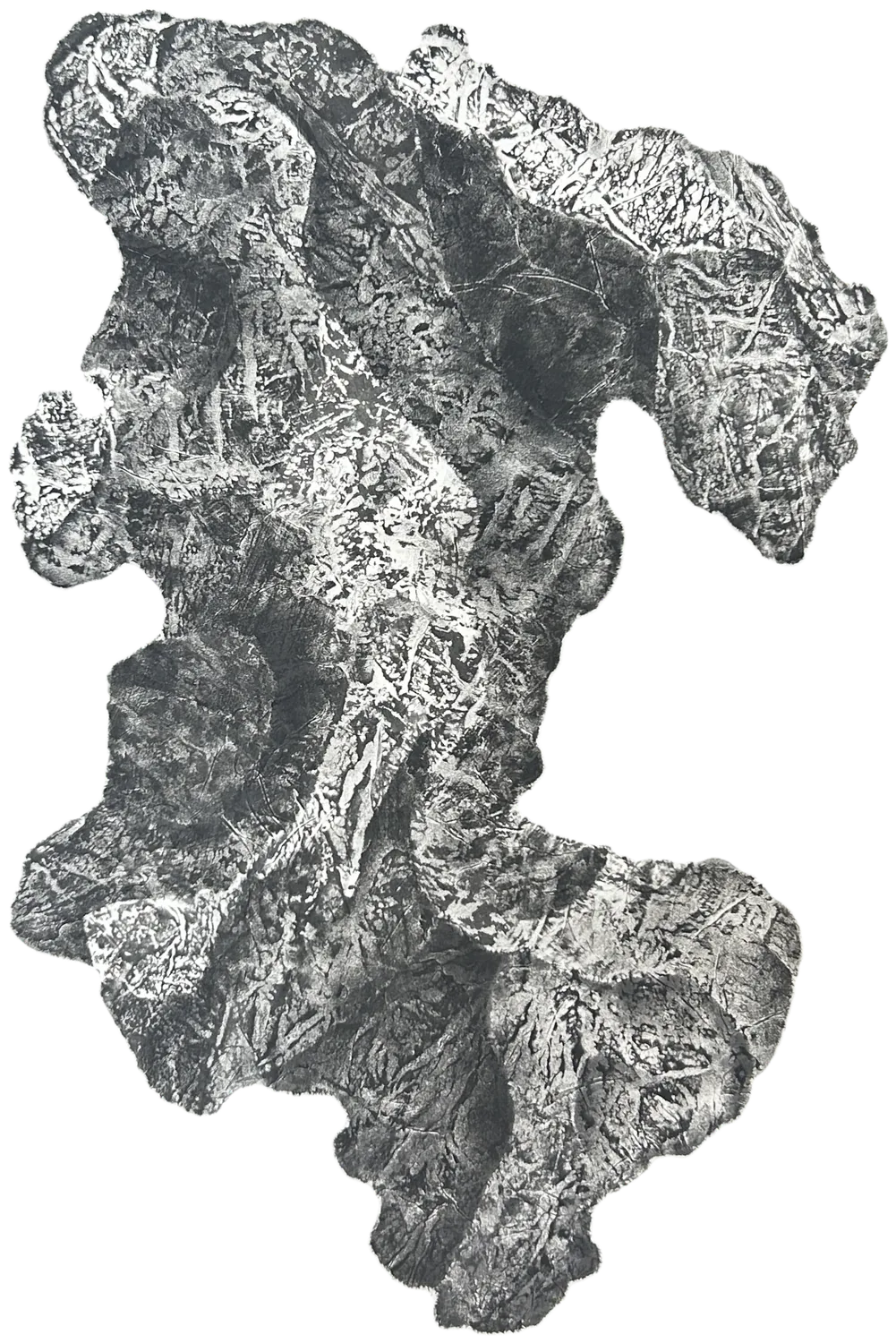 A full-shape rubbing of a scholar’s stone